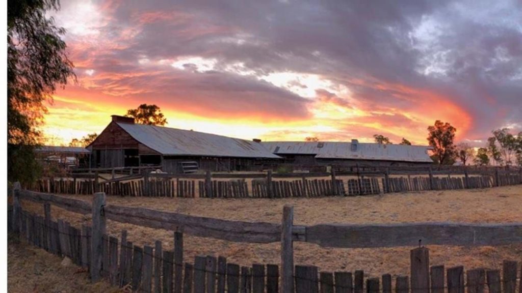 Jondaryn Woolshed Wedding Videography and Photography